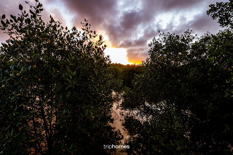Isla de los Pájaros - Morro de São Paulo - Bahía - BA