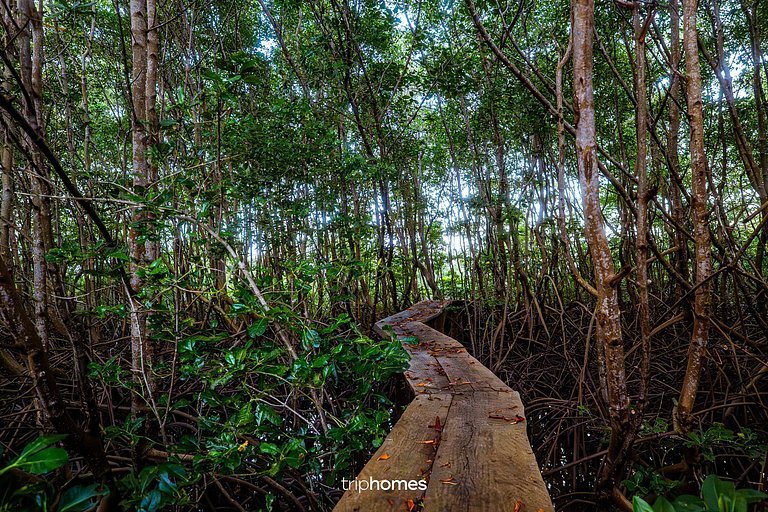 Isla de los Pájaros - Morro de São Paulo - Bahía - BA