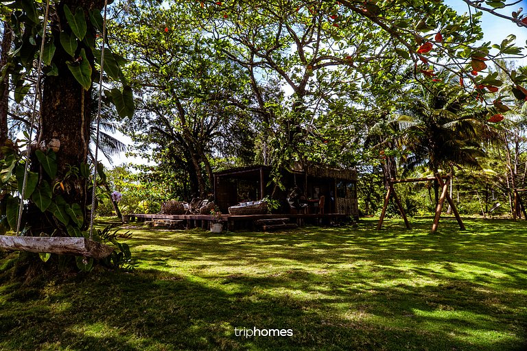 Bird Island - Morro de São Paulo - Bahia - BA
