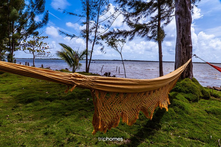 Bird Island - Morro de São Paulo - Bahia - BA