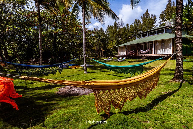 Bird Island - Morro de São Paulo - Bahia - BA