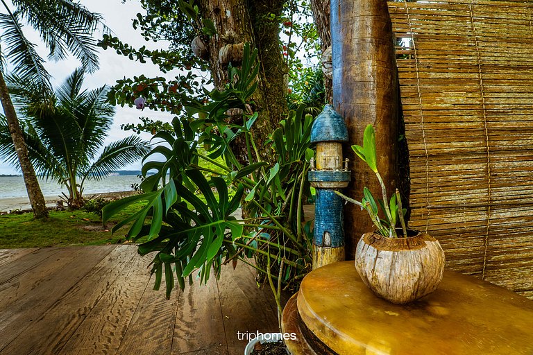 Bird Island - Morro de São Paulo - Bahia - BA