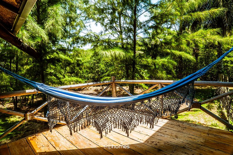 Bird Island - Morro de São Paulo - Bahia - BA