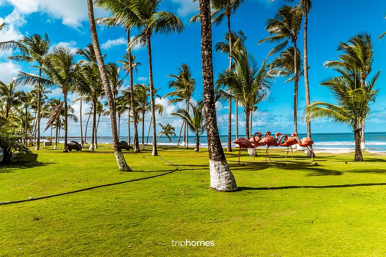 Private Tropical Island in Boipeba, Bahia